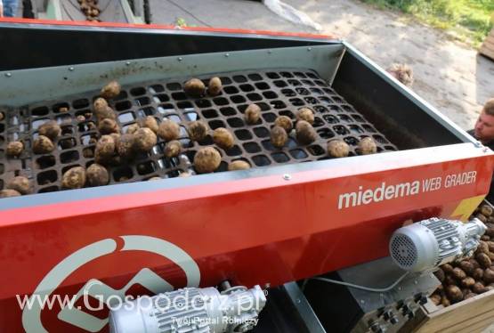 Sortownik Web Grader DEWULF