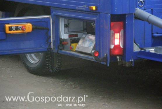 Skup i sprzedaż bydła i cieląt