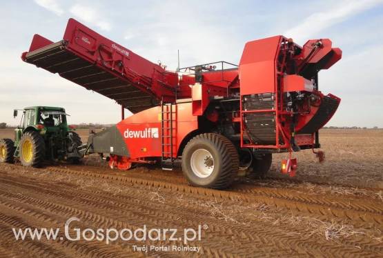 Kombajn do ziemniaków RS2060 DEWULF