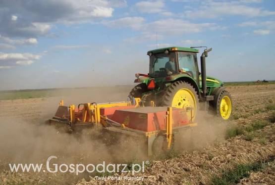 Przystawka do cebuli  (AO) (3 x 1,50) model SU153B SAMON