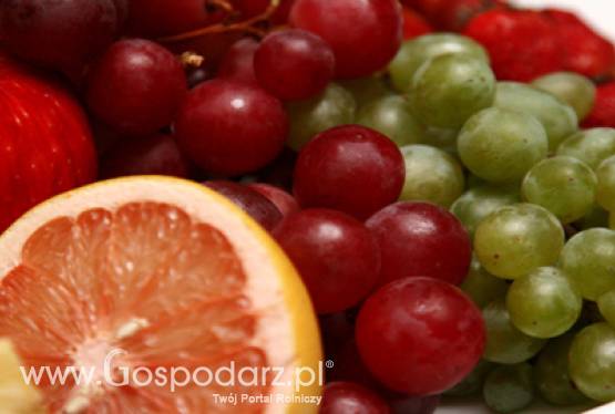 Wykaz zatwierdzonych dostawców do programu „Owoce w szkole”