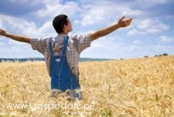 Damy Ci możliwość obrotu ziemią