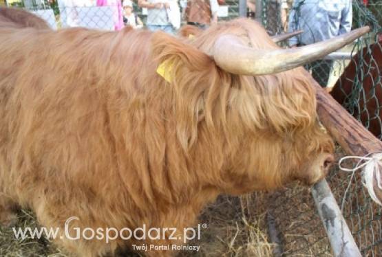 Lista laureatów z XX Targów Rolniczych Lubniewice 2011