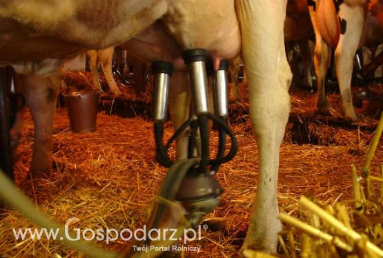 Mleczarnia w Brzegu ogłosiła upadłość, pracę straciło ponad czterdzieści osób