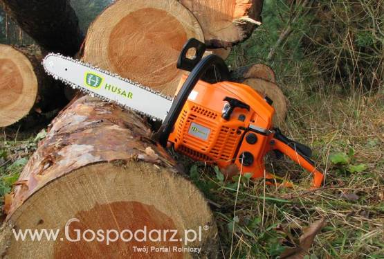 PILARKA SPALINOWA HUSAR  45cc