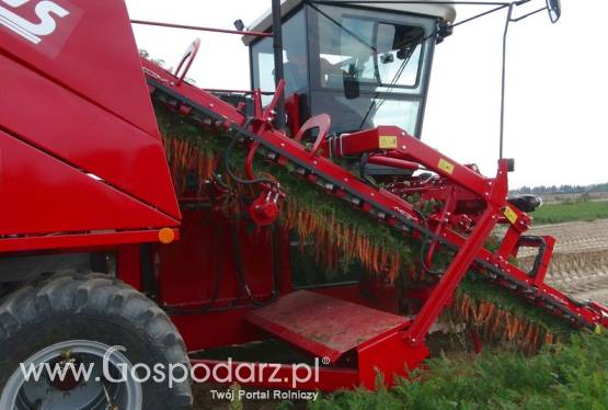 Kombajn MAXIMUS do zbioru marchwi, selera, pietruszki