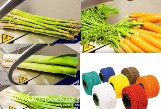 Sznurek elastyczny Cylastic do pęczkowania cebuli ze szczypiorem