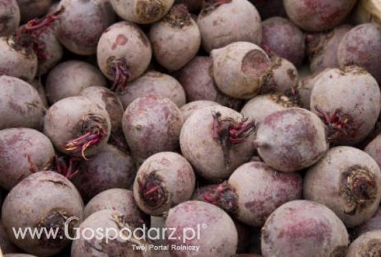 Zbiory owoców i warzyw w minionym roku