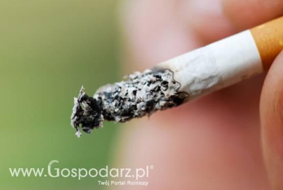Nowe unijne przepisy, czyli problemy w branży tytoniu