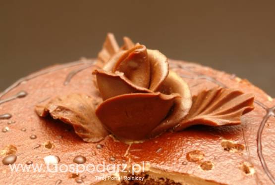 Finał AGRO POLSKA 2011