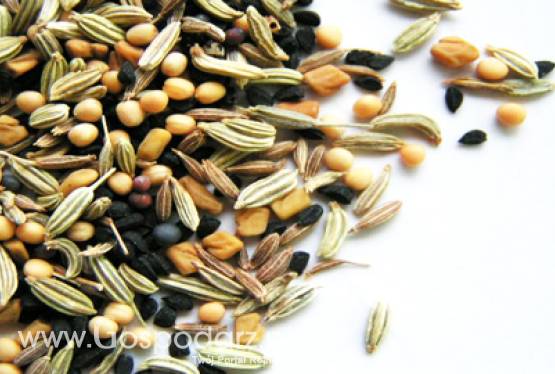 Spotkanie z Ambasadorem Nadzwyczajnym i Pełnomocnym Republiki Botswany