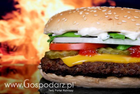 Działka w Płońsku dla McDonald’sa