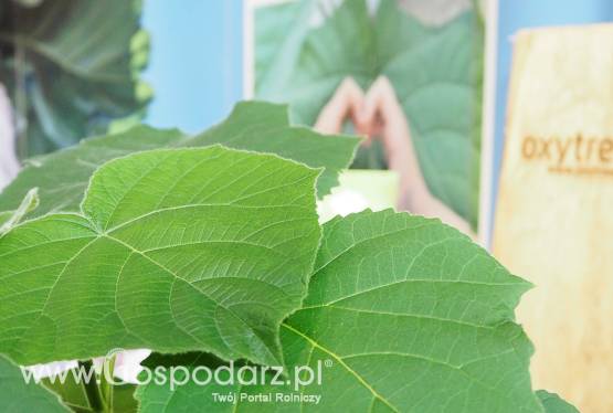 Poznaj Oxytree podczas Targów Agrotech w Kielcach