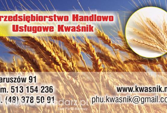 Kupię pszenżyto, jęczmień, owies, pszenice,żyto.