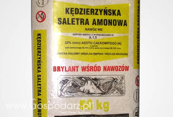 Kędzierzyńska Saletra Amonowa