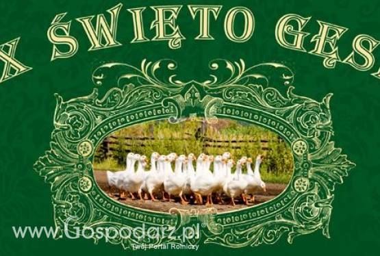 X Święto Gęsi