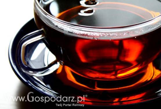 Mokate: W 2011 zakładamy wzrost przychodów na poziomie 2010 roku