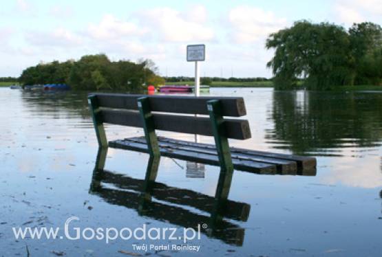 OT we Wrocławiu wsparł Bogatynię