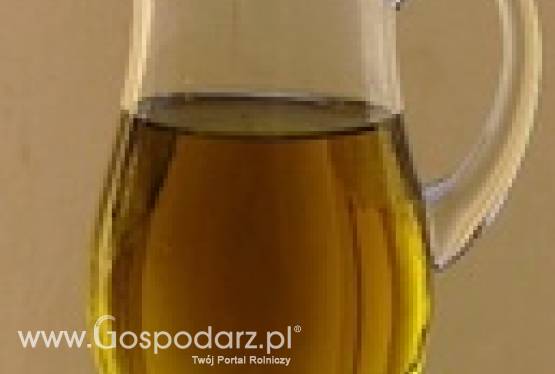 Olej roślinny dla Biodiesel