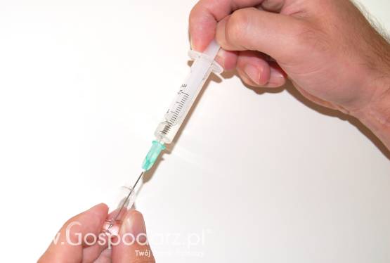 GMO nie tylko wśród upraw, ale i chwastów?