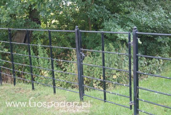 Płoty, bramy, ogrodzenia, metalowe, kute
