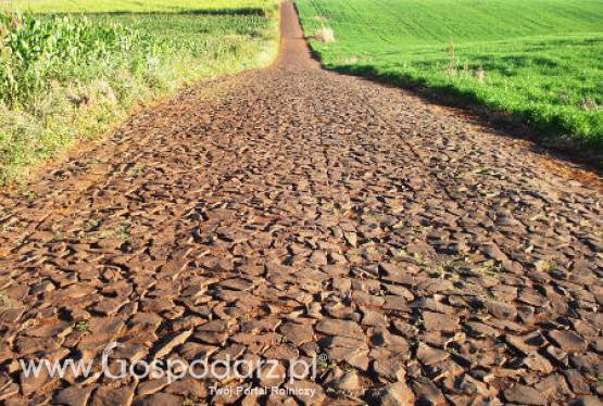 Potencjał ANR na MIPIM 2011