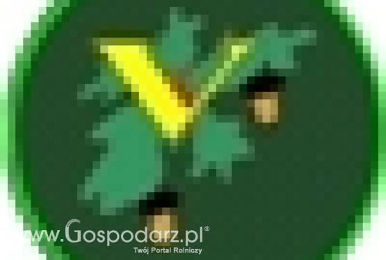 Sadzonki do szczepień oraz zadrzewień