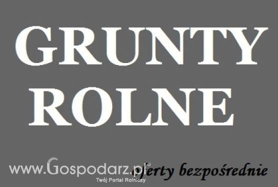 Grunty rolne kupimy, powyżej 100 ha w każdej bonitacji