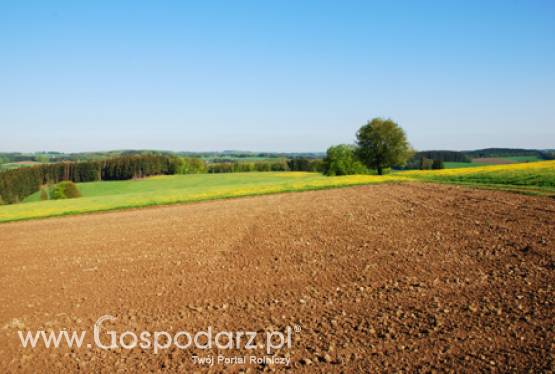 Już tylko kilka dni zostało na złożenie wniosków o przyznanie dopłat bezpośrednich, wsparcia ONW i płatności rolnośrodowiskowych za 2012r.