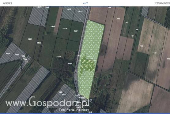 Okazja! Działka rolna 1,54 ha (Kamionna, woj. mazowieckie)