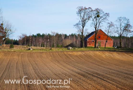 W Pałacu Prezydenckim o odnowie wsi