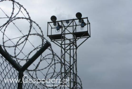 Jak obecna sytuacja ekonomiczna wpływa na tzw. szarą strefę?