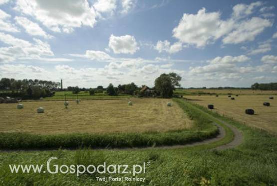 Agencja Nieruchomości Rolnych w tym roku sprzeda 200 tys. hektarów gruntów rolnych