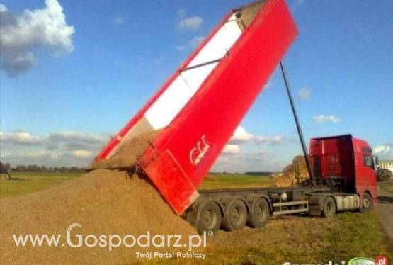 Wysłodki buraczane mokre, cukrownia Krasnystaw kampania 2015