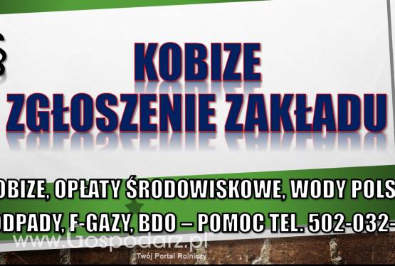 Raportowanie do Kobize