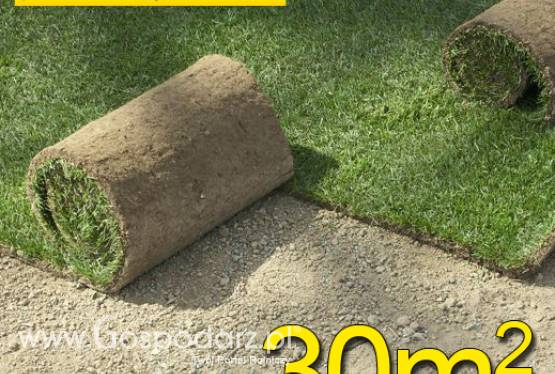 Trawa z rolki, trawa rolowana UŻYTKOWA 30m2użytkowa trawa rolowana, darń w rolce, DARMOWA WYSYŁKA