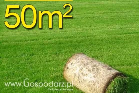 Trawa z rolki PREMIUM 50m2najlepsza trawa w rolce, darń w rolce, 1 paleta, DARMOWA WYSYŁKA