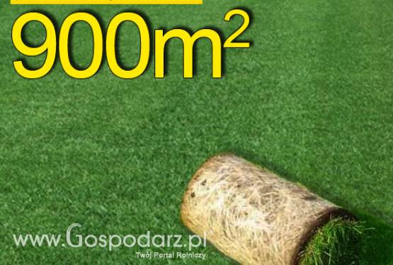 Trawa z rolki, trawa rolowana Premium II 900 m2najlepsza trawa w rolce, darń w rolce