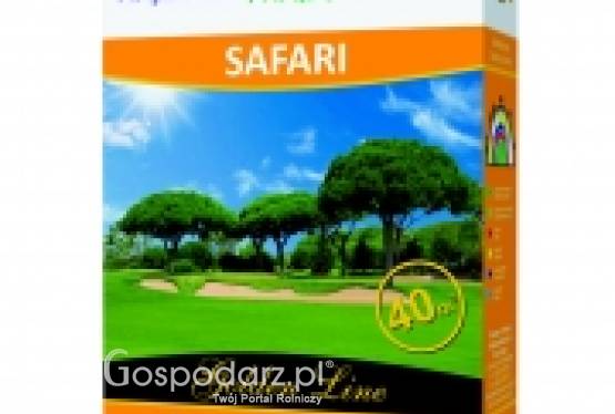 Trawa, nasiona trawy SAFARI GOLDEN LINE masa: 1kg, mieszanka trawy na miejsca nasłonecznione, Golden Line Rolimpex