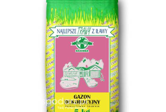 Trawa, nasiona trawy GAZON DEKORACYJNY masa: 5kg, mieszanka gazonowa Rolimpex