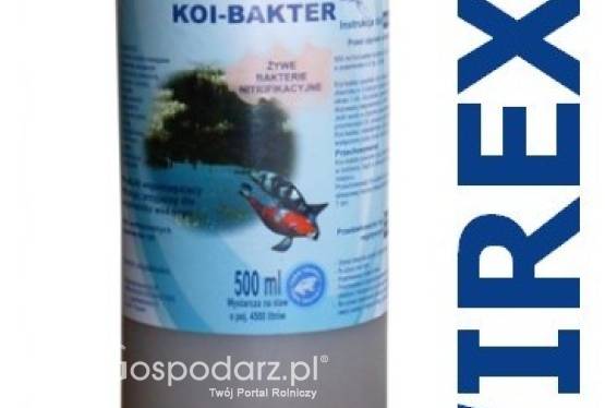 Preparat wspomagający filtrację trudnych przypadkach WIREXIM BIOTECHNOLOGIE Koi-bakter pojemność: 0.5 l., Żywe bakterie nitryfikacyjne