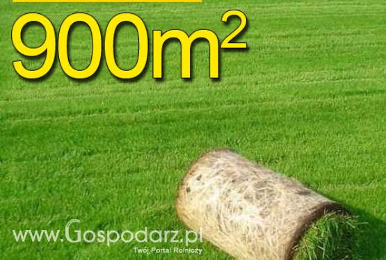 Trawa z rolki PREMIUM 900m2najlepsza trawa w rolce, darń w rolce, DARMOWA WYSYŁKA