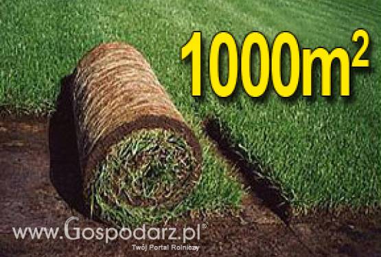 Trawa z rolki, trawa rolowana KRAJOBRAZOWA 1000m2uniwersalna trawa w rolce, darń w rolce