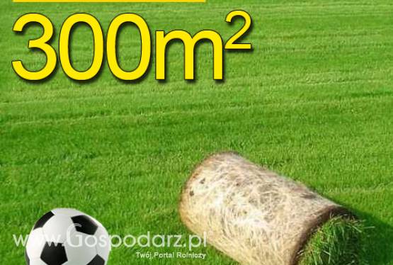 Trawa z rolki, trawa rolowana SPORTOWA 300m2trawa z rolki na boiska sportowe, darń w rolce