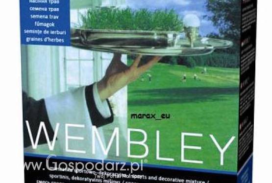 Trawa, nasiona trawy WEMBLEY masa: 0.5kg, mieszanka odporna na deptanie Graminex