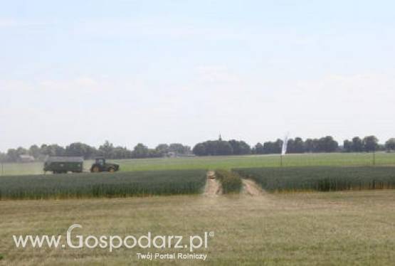 Ceny zbóż na giełdach światowych- 1.06.2012