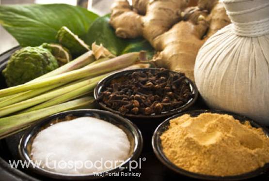 Spotkanie z Komisją Zdrowia, Środowiska i Bezpieczeństwa Żywności (COM ENVI) Parlamentu Europejskiego