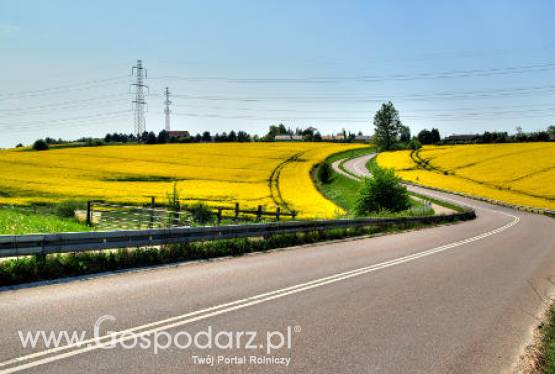 02.04.2012. Oleiste-Rzepak i soja znowu na wielomiesięcznych maksimach