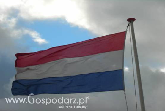 Holandia określiła minimalny udział biopaliw w paliwach transportowych na najbliższe lata