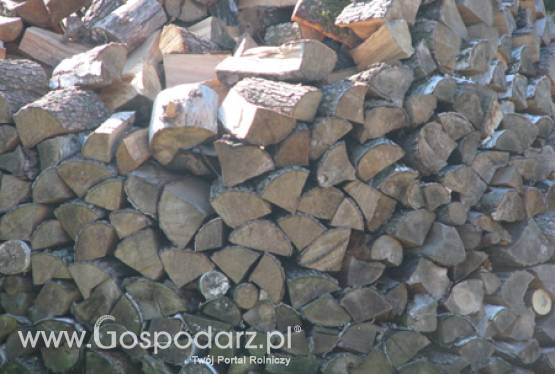 Międzynarodowe Zawody Drwali w Bobrowej